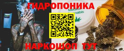 мдпв Гай