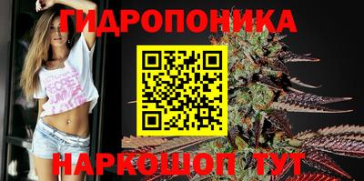 2c-b Гатчина