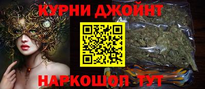 мдпв Гай