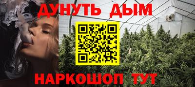 мдпв Гай