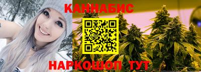 мдпв Гай