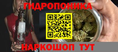 мдпв Гай