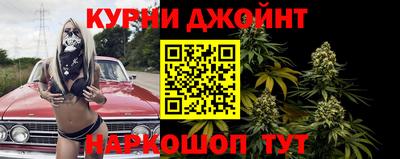 мдпв Гай