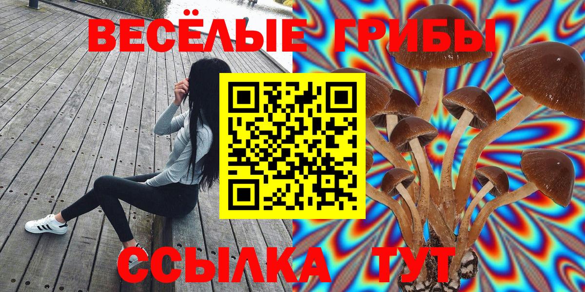 Качканар  Галлюциногенные грибы мицелий  купить наркотик  Вход с VPN 